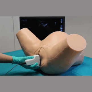 Advanced Ultrasound OBGYN Simulator - Obstetrik ve Jinekolojik Ultrason Eğitim Sistemi