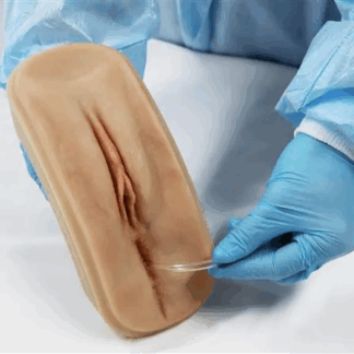 Kadın Kateterizasyon ve Lavman Eğitim Modeli – Catheterization and Enema Female Task Trainer