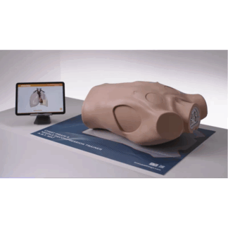 "Chest Drain & Needle Decompression Trainer - Torasik Girişimler için Profesyonel Eğitim Simülatörü"