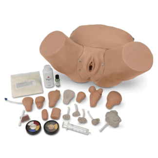 Life/form Advanced Pelvic Examination Simulator, jinekolojik eğitim modeli