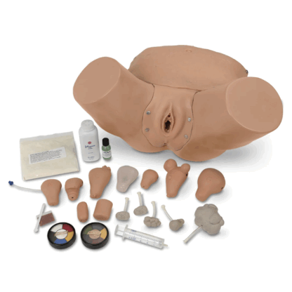 Life/form Advanced Pelvic Examination Simulator, jinekolojik eğitim modeli