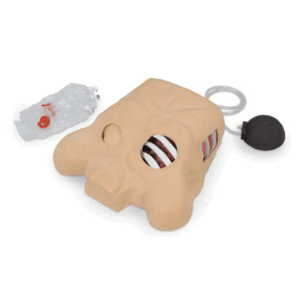 Life/form Chest Tube Manikin eğitim mankeni LF03770