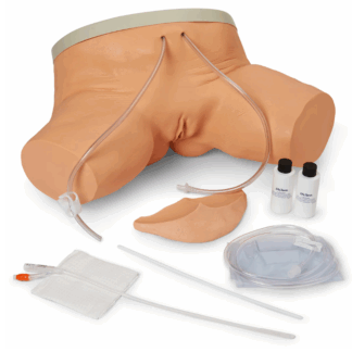 Life/form Female Catheterization Simulator, kadın üriner kateterizasyon modeli