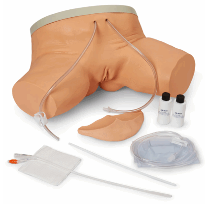 Life/form Female Catheterization Simulator, kadın üriner kateterizasyon modeli