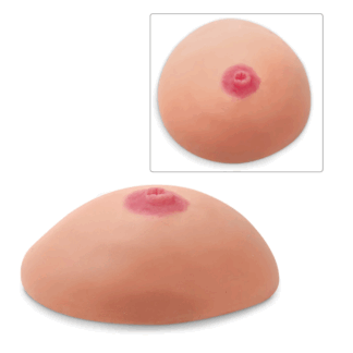Life/form Inverted Nipple Replica, meme sağlığı eğitim modeli