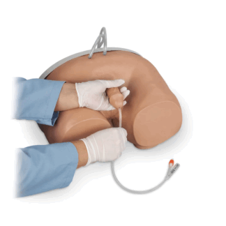 Life/form Male Catheterization Simulator, erkek üriner kateterizasyon modeli