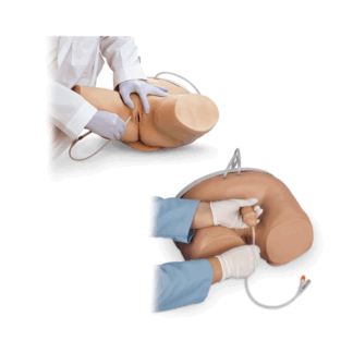 Life/form Male & Female Catheterization Simulator Set, kateterizasyon eğitim modeli