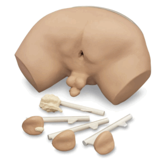 Life/form Prostate Examination Simulator, prostat muayene eğitim modeli