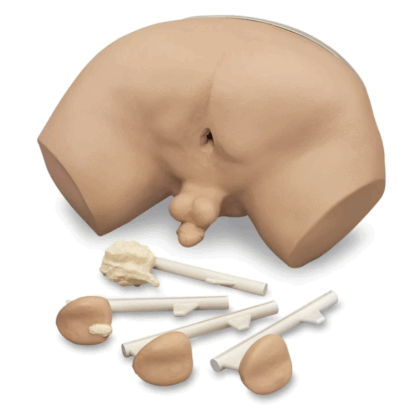 Life/form Prostate Examination Simulator, prostat muayene eğitim modeli