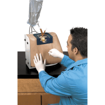 Life/form Spinal Injection Simulator, omurga enjeksiyon eğitimi modeli