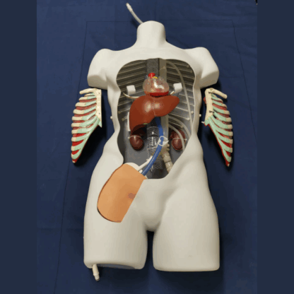 PerfusionSim™ - NRP ve REBOA Eğitim Simülatörü