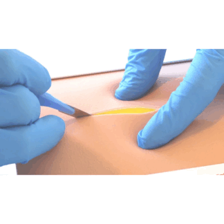 Professional Skin Pad Mk 3 - Cerrahi Kesim ve Dikiş Teknikleri Eğitim Seti