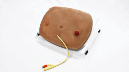 SYM Abdominal Multi-Task Trainer – Abdominal bakım beceri geliştirme simülatörü