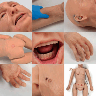 TERi™ Elderly Patient Skills Trainer - Medium - Geriatrik Hasta Beceri Eğitim Simülatörü