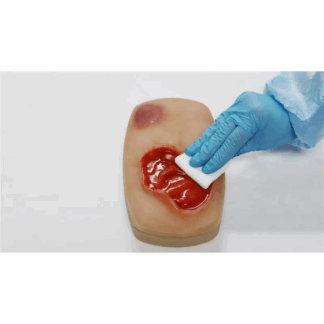 Wound Care & Injection Task Trainer – Gelişmiş Enjeksiyon ve Yara Bakım Modeli
