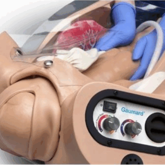 Advanced OB Susie® S500.200 doğum eğitim simülatörü