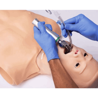 HAL® S315.100 - Yetişkin Çok Amaçlı Hava Yolu ve CPR Eğitmeni simülatörü
