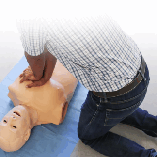 HAL® S315 - Yetişkin Hava Yolu ve CPR Eğitmeni simülatörü