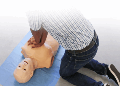 HAL® S315 - Yetişkin Hava Yolu ve CPR Eğitmeni simülatörü