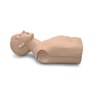 Simon S308 - CPR Becerileri Eğitmen Torsosu simülatörü