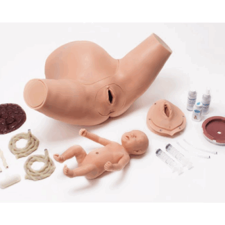 Super OB SUSIE® S500.300 Doğum Becerileri Eğitim Torsosu