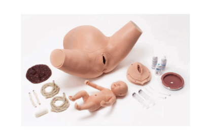 Super OB SUSIE® S500.300 Doğum Becerileri Eğitim Torsosu