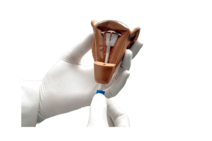 Gaumard S507 Uterus I RİA Yerleştirme Eğitim Modeli