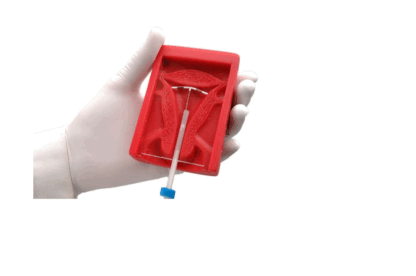 Gaumard S507.100 Uterus II RİA Yerleştirme Eğitim Modeli